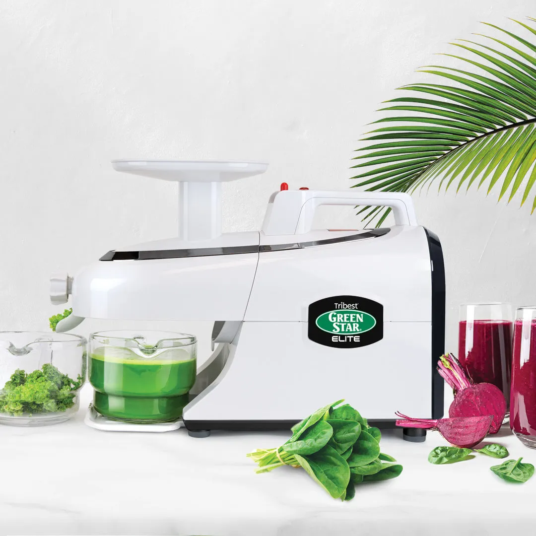 Greenstar Elite Jumbo Twin Gear Slow Masticating Juicer